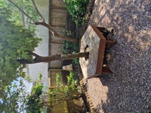 Garden at Hazeldene with a wooden picnic table, mature tree and hedgehog ornament on gravel