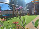 Colourful plants in the foreground with a play area in the background