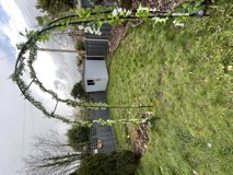 Rear garden at Glanmore with a lawn, planted borders, a metal garden arch and a grey timber shed