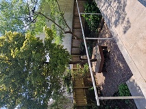 Garden at Hazeldene with a mature tree, gravel area and a wooden picnic bench