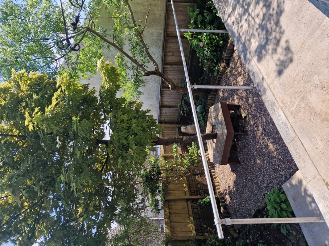 Garden at Hazeldene with a mature tree, gravel area and a wooden picnic bench