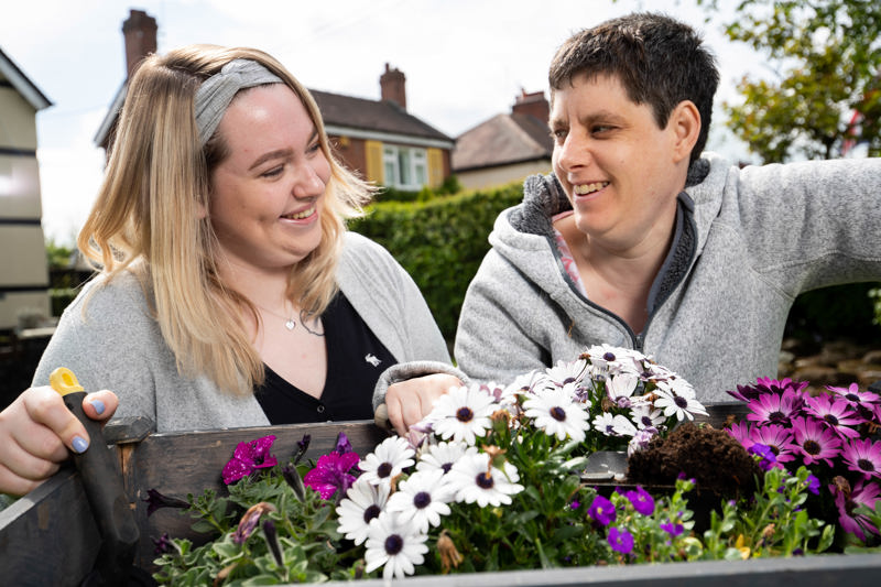 Planting a window box of daisies and petunias in the front garden at Westholme