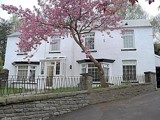 Front exterior of Gelli Ceirios, a white-rendered house with bay windows behind a stone wall and a pink blossom tree